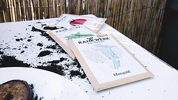 Saattüten_Mangold Drei Säcke Rankwerk-Saatgut sind auf einem weißen Tisch im Freien ausgebreitet. Der Tisch hat sichtbare Schmutzflecken und verstreute Gartenmaterialien.