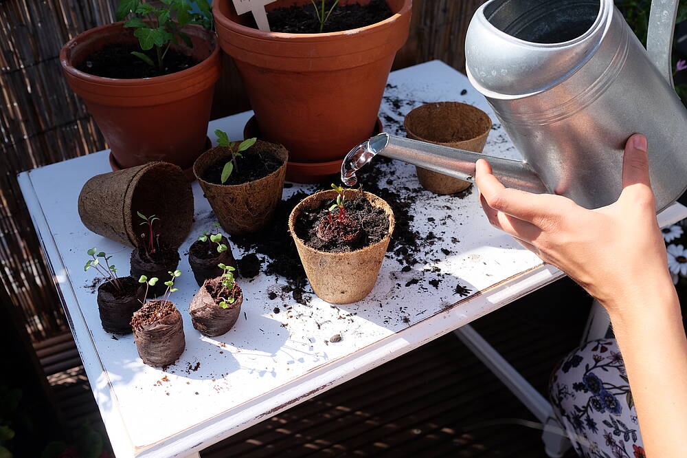 Equipment überblicken