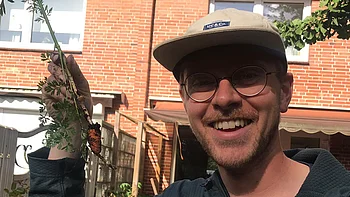 Kleine Mohrrübe im Garten