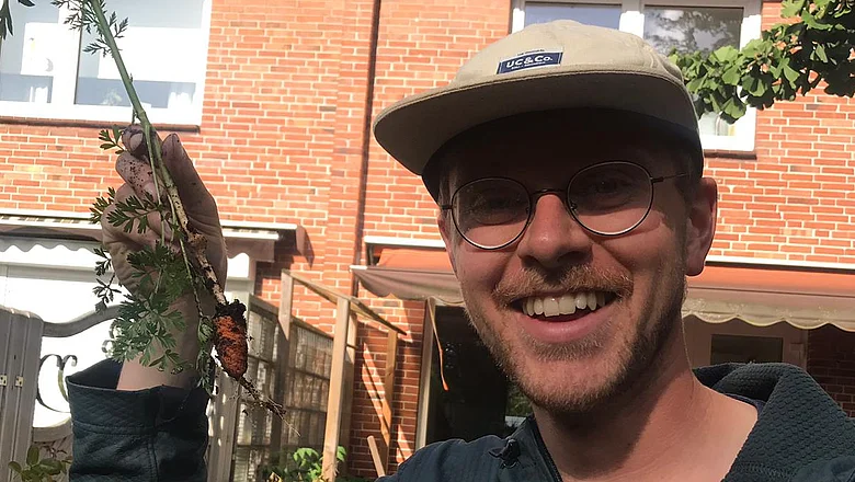 Kleine Mohrrübe im Garten 