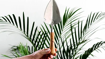 MINTUNDMEER zu Besuch bei Rankwerk