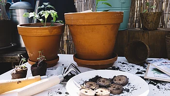 Start ins neue Gartenjahr Start ins neue Gartenjahr