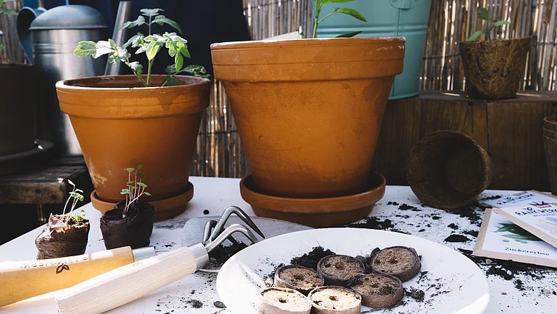 Start ins neue Gartenjahr