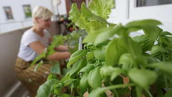 So bewahrst du Kräuter auf So bewahrst du Kräuter auf