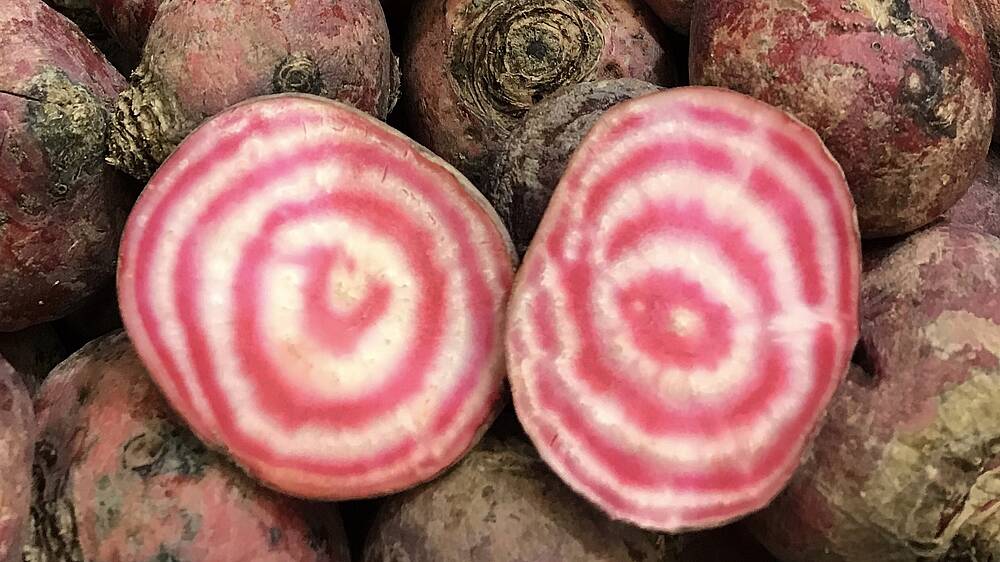 Geringelte Rote Bete 