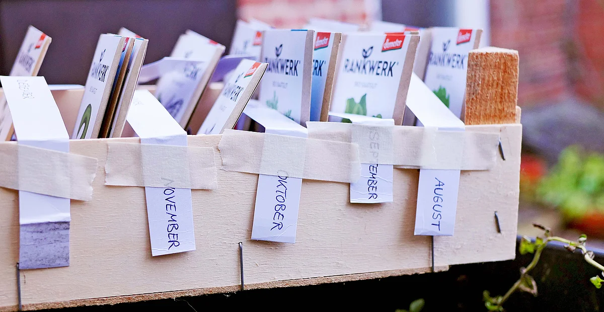 Saatgutbox mit entsprechenden Monaten draußen