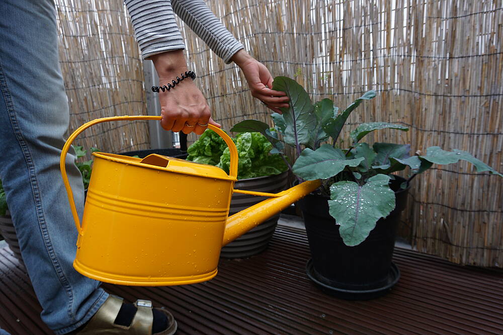 Gut für Seele und Körper Gut für Seele und Körper