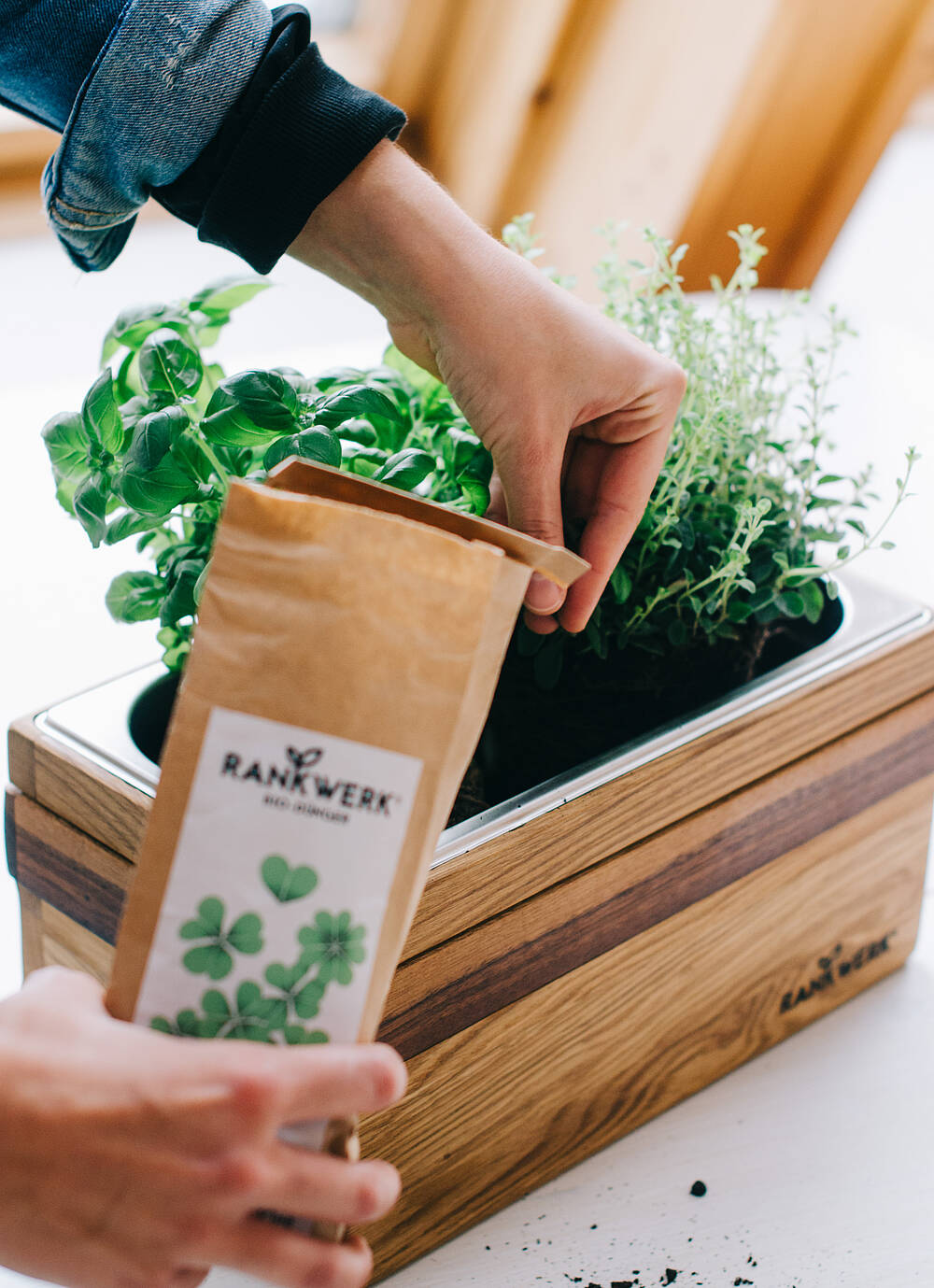 Anwendung von Klee Dünger auf dem Balkon