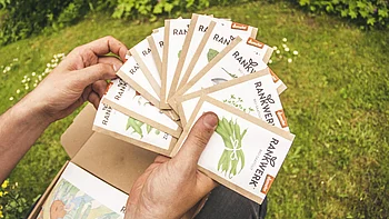Person hält mehrere Rankwerk-Saatguttüten in der Hand, umgeben von grüner Wiese im Hintergrund.