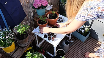 Gründe zu gärtnern Gründe zu gärtnern