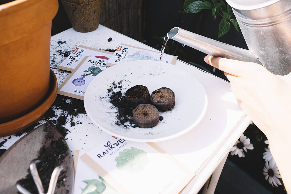 Kokostabletten auf einer Unterlage 