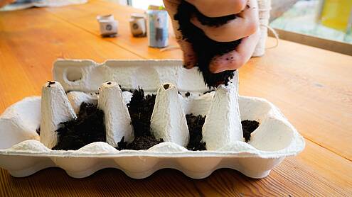 Eierkarton wird mit Erde befüllt