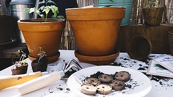 Topfpflanzen und Gartengeräte sind auf einem Tisch im Freien ausgebreitet.