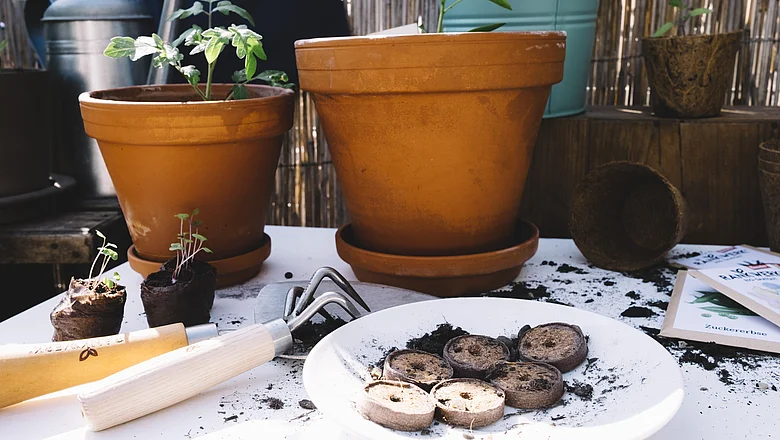 Topfpflanzen und Gartengeräte sind auf einem Tisch im Freien ausgebreitet.