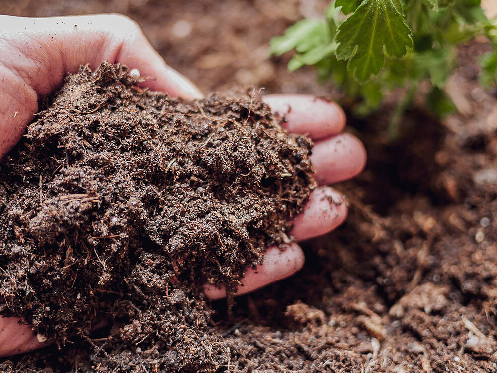 Die Wichtigkeit des Bodens Die Wichtigkeit des Bodens