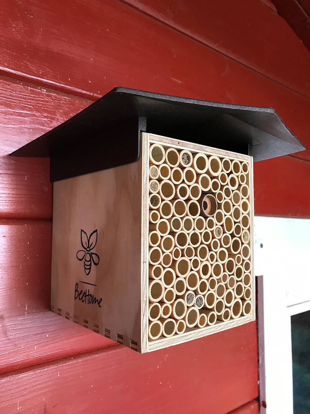 Wildbienen Nest an einer roten Hütte - Bienenschutz