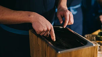 Was passiert mit der Erde nach der Ernte? Was passiert mit der Erde nach der Ernte?