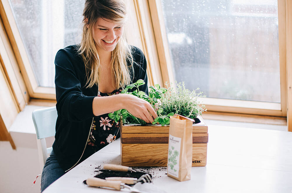 Am Fenster gärtnern Am Fenster gärtnern