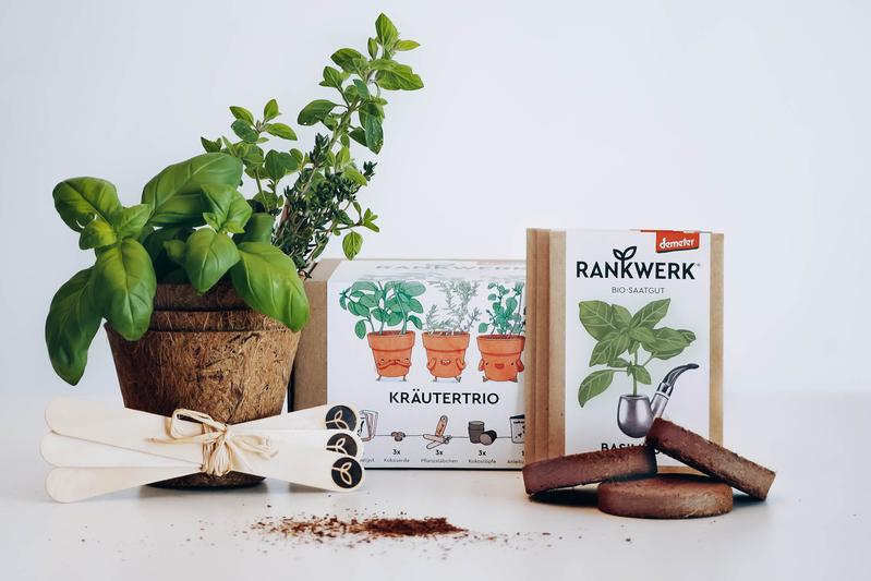 "Kräutertrio" Saatgut-Box von Rankwerk, mit frischem Basilikum, Thymian und Oregano sowie Pflanzmaterial.